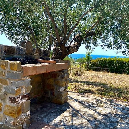 Villa Chiara Ascea Εξωτερικό φωτογραφία